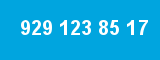 929 123 85 17